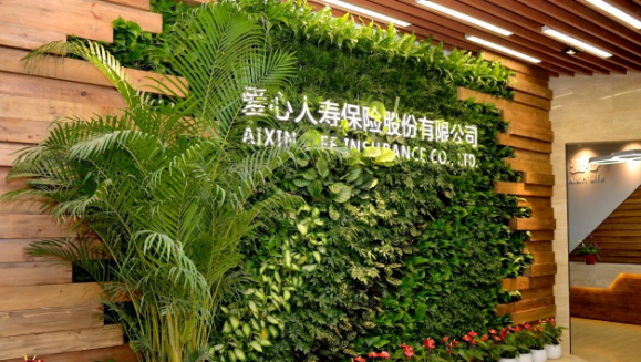 今年会健康集团第三次增资爱心人寿获批，新“国十条”助力医疗和保险深度融合