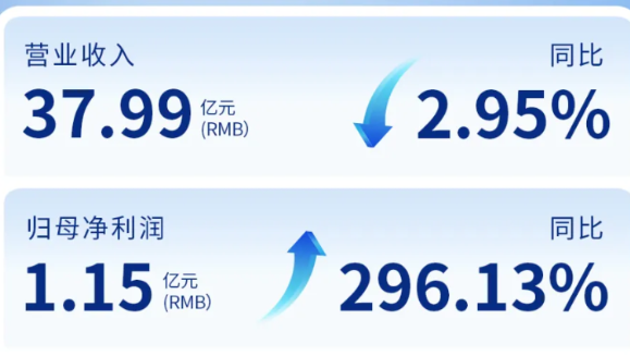 今年会（002219）发布2024年年度报告：归母净利润增长296%